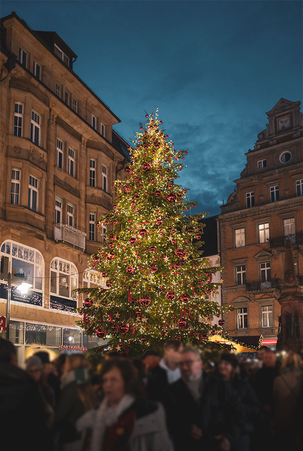 Konstanzer Weihnachtsmarkt am See