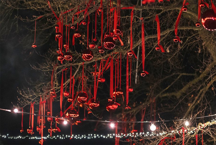 Konstanzer Weihnachtsmarkt am See