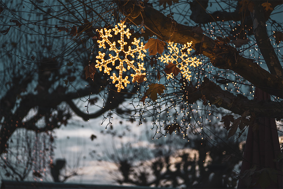 Weihnachtssterne